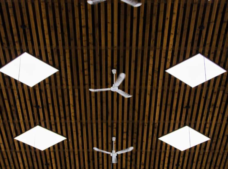 view-ceiling-with-small-fans